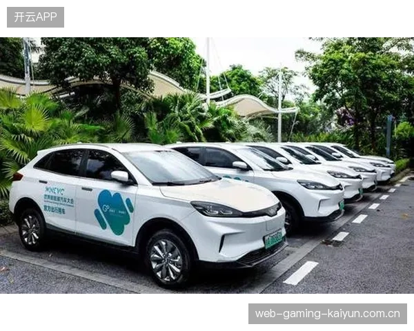 青少年体育参与率上升，家庭体育消费增长明显